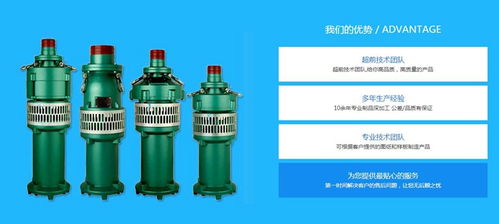 噴泉專用泵的多樣選擇 探尋沈陽噴泉泵與山東莘泉灌排設備的獨特優(yōu)勢